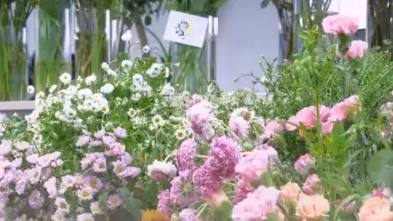 婦女節公司為女生開了一間花店